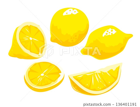 Lemon Slice and whole. Vector color vintage engraving 136401191