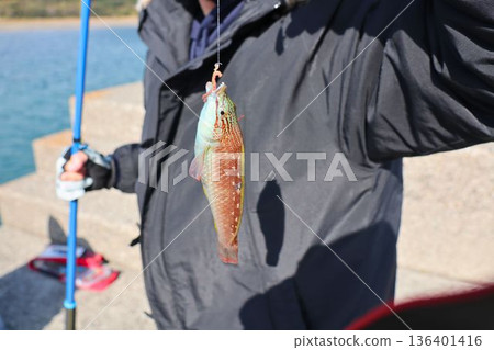 魚被捕獲的那一刻 魚被捕獲的那一刻 136401416