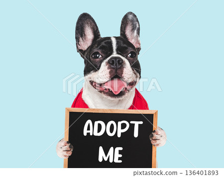 Charming pied dog with ADOPT ME text 136401893