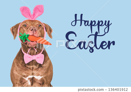 Happy Easter. Cute dog and congratulatory inscription Happy Easter. Cute dog and congratulatory inscription 136401912