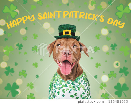 Happy Saint Patrick's Day. Cute dog and congratulatory message 136401933