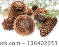 Cedar rose and Norway spruce pine cones 136402053