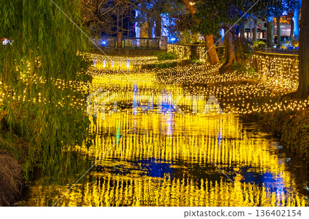 Illuminations decorating Nishikawa Ryokudo Park at night in Okayama City Illuminations decorating Nishikawa Ryokudo Park at night in Okayama City 136402154