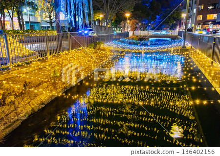 Illuminations decorating Nishikawa Ryokudo Park at night in Okayama City 136402156