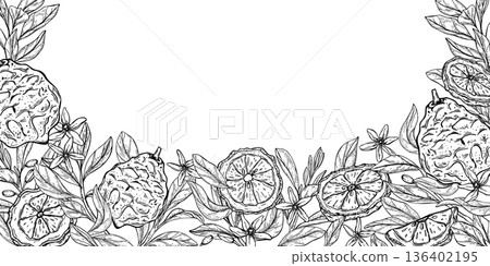 Monochrome Kaffir lime vector isolated rectangle border. Bergamot with slices, leaves and flowers line art black ink template. Citrus fruit frame with copy space for text. Floral illustration 136402195