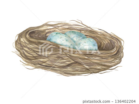 Three blue eggs in bird nest watercolor illustration on isolated background. Forest nest made of dried branches and cradling small speckled egg. For wildlife conservation content, spring design. Three blue eggs in bird nest watercolor illustration on isolated background. Forest nest made of dried branches and cradling small speckled egg. For wildlife conservation content, spring design. 136402204