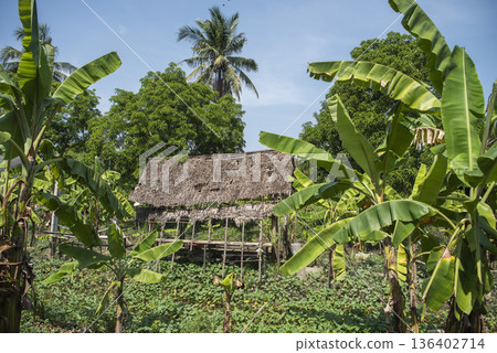 THAILAND NONTHABURI PAK KRET KO KRET LANDSCAPE 136402714