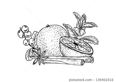 Monochrome vector orange citrus among melissa branches illustration painted by black inks. Etching drawing of tropical fruit with mint herbs for beverage branding, spa menus, healthy food packaging Monochrome vector orange citrus among melissa branches illustration painted by black inks. Etching drawing of tropical fruit with mint herbs for beverage branding, spa menus, healthy food packaging 136402818