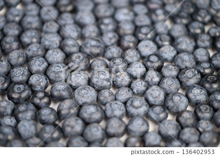 Tight repeating blueberry mosaic creating graphic texture and rhythm, even lighting and neutral tones produce modern abstract food backdrop suited for packaging and advertising 136402953