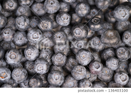 Precise scientific photo of blueberry plant features. Thorough scientific visualization emphasizing detailed surface morphology and calyx structure of blueberry plants 136403100