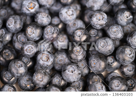 Natural lighting captures organic blueberries in countryside setting. Seasonal farm grown blueberries displayed in rustic basket under natural rural lighting conditions Natural lighting captures organic blueberries in countryside setting. Seasonal farm grown blueberries displayed in rustic basket under natural rural lighting conditions 136403103