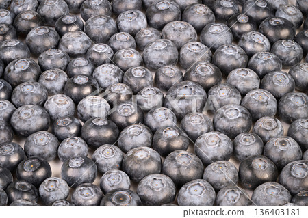 Close up blueberries piled for packing line, dense arrangement suggests large scale processing and supply chain flow, muted palette evokes industrial efficiency Close up blueberries piled for packing line, dense arrangement suggests large scale processing and supply chain flow, muted palette evokes industrial efficiency 136403181