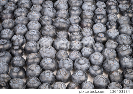 Close up blueberries pattern filling frame, dusty bloom and uniform spheres creating tactile monochrome mosaic, subtle shadows and soft highlights emphasize shape and repetition Close up blueberries pattern filling frame, dusty bloom and uniform spheres creating tactile monochrome mosaic, subtle shadows and soft highlights emphasize shape and repetition 136403184