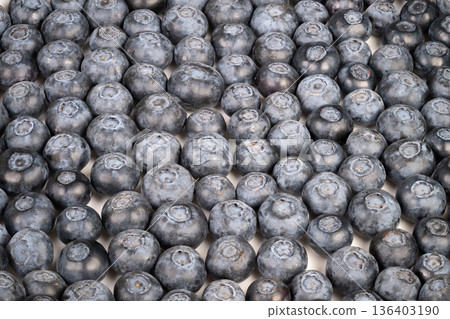 Vendor stall presentation featuring abundant blueberry harvest for branding. Neatly arranged blueberries displayed in market setting highlighting farm and organic produce branding 136403190