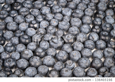 Blueberries with bloom. Handpicked fresh blueberry display. Crate of ripe blueberries. Vibrant blueberries covered in bloom and highlighted by natural gloss 136403198