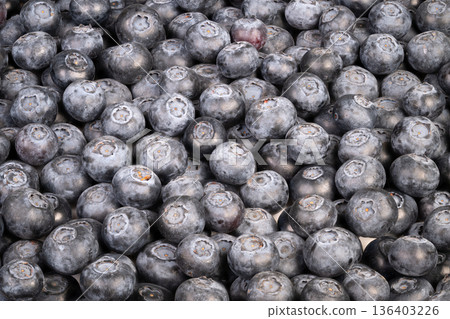 Closeup of ripe blueberries. Vibrant close shot emphasizing berry texture and hues. Highresolution image capturing intricate details and vibrant colors of blueberries Closeup of ripe blueberries. Vibrant close shot emphasizing berry texture and hues. Highresolution image capturing intricate details and vibrant colors of blueberries 136403226