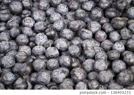 Textured blueberry motifs for packaging visuals. Pattern of blueberries assembled repeatedly to generate natural textured backgrounds suitable for various applications Textured blueberry motifs for packaging visuals. Pattern of blueberries assembled repeatedly to generate natural textured backgrounds suitable for various applications 136403233
