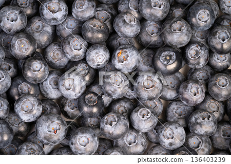 Handpicked farm blueberries in pile. Seasonal harvest with natural farm produce. Closeup of freshly harvested blueberries with matte bloom and subtle soil accents Handpicked farm blueberries in pile. Seasonal harvest with natural farm produce. Closeup of freshly harvested blueberries with matte bloom and subtle soil accents 136403239