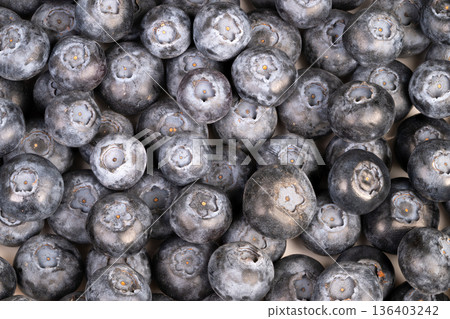 Closeup pile dusty blueberries market vendor prep for jam and preserves, natural bloom texture, muted bluegray tones, shallow focus, wooden crate suggestion, daylight mood 136403242