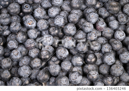 Heaping blueberries after harvest season, layered fruit showing natural bloom and occasional leaf debris, earthy tones suitable for agriculture and produce marketing 136403246