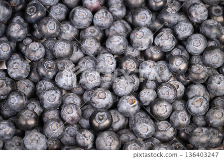Fresh blueberries as culinary ingredient, ready for baking, desserts and toppings with bright bloom and deep blue hues, inspirational shot for chefs and food bloggers Fresh blueberries as culinary ingredient, ready for baking, desserts and toppings with bright bloom and deep blue hues, inspirational shot for chefs and food bloggers 136403247