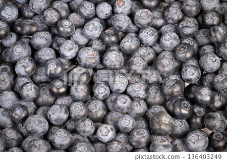 Blueberry macro details. High contrast image highlighting texture of fresh blueberries. Vivid macro photograph capturing bloom and rich texture of ripe blueberries 136403249