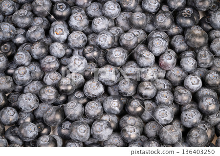 Closeup ripe blueberries in crate, marketready color and natural bloom, sunlit shadows hint of wooden box, rustic harvest mood ideal for farmtotable promotions 136403250