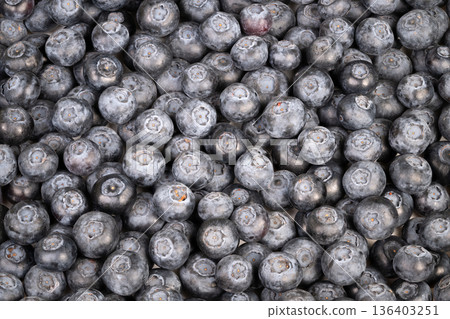 Farmfresh blueberries in morning light. Closeup of textured blueberries in crate. Detailed macro shot showcasing indigo blueberries with protective powder and textured skin 136403251