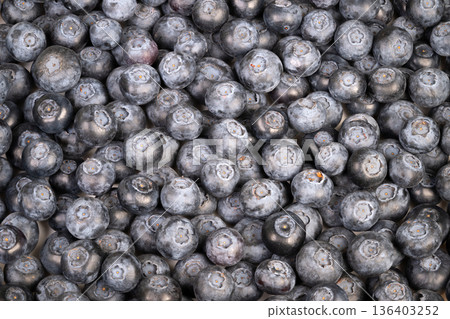 Detailed repeated blueberry surface creating modern mosaic effect. Dense arrangement of round blueberries forming artistic mosaic with subtle shadows and lighting 136403252
