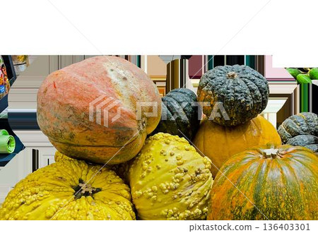 Multicolored pumpkins of different varieties piled up on a transparent background. High quality photo 136403301