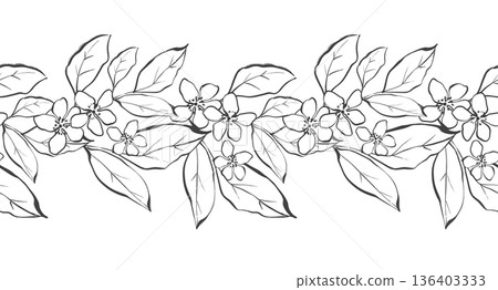 Hand drawn illustration of seamless horizontal border with elegant blooming branches and leaves in black line art style Hand drawn illustration of seamless horizontal border with elegant blooming branches and leaves in black line art style 136403333