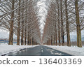 Snow scene of metasequoia trees in Shiga 136403369