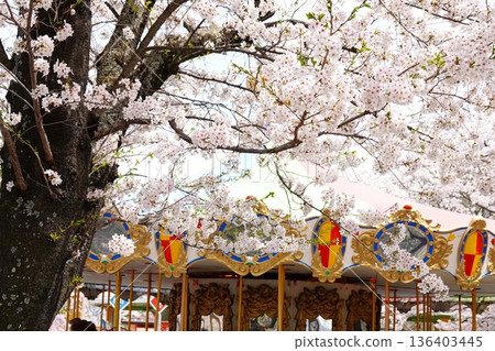 Spring scenery with cherry blossoms and a merry-go-round Spring scenery with cherry blossoms and a merry-go-round 136403445