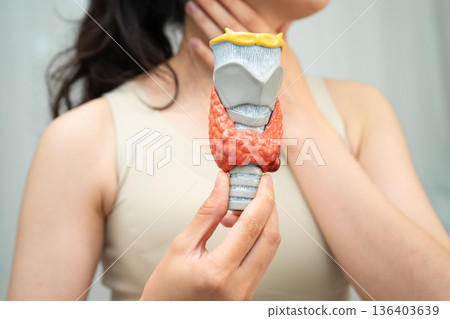 Hyperthyroidism, Overactive Thyroid, Thyroid Lymphoma, Asian woman with thyroid gland human anatomy model. 136403639
