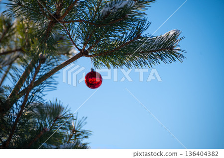 a green Christmas tree with a big red ball. a green Christmas tree with a big red ball. 136404382