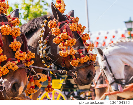 Elegant Horses Adorned for Seville April Fair Celebration Elegant Horses Adorned for Seville April Fair Celebration 136404523