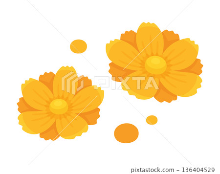 可愛的黃色波斯菊插畫素材 136404529