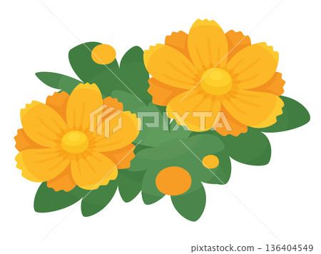 可愛的黃色波斯菊插畫素材 136404549