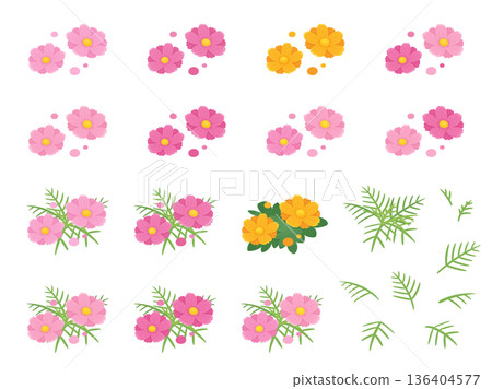 可愛的波斯菊和黃色波斯菊插畫素材套裝 可愛的波斯菊和黃色波斯菊插畫素材套裝 136404577