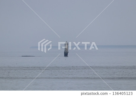 Shell Island Lighthouse jutting out into the sea Shell Island Lighthouse jutting out into the sea 136405123