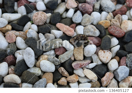 彩色球礫石 136405127