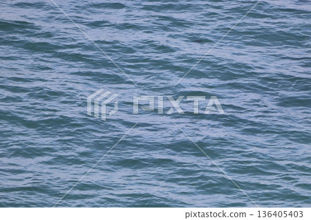 Blue Sea 136405403