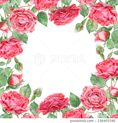 Watercolor square wreath with red roses,buds and green leaves hand drawn. Romantic floral border isolated on white background. Watercolor square wreath with red roses,buds and green leaves hand drawn. Romantic floral border isolated on white background. 136405546