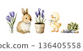 Watercolor set of an Easter bunny, chick, crocus flower, and succulent. 136405558
