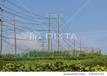 電源線高聳在藍天 電源線高聳在藍天 136405585
