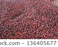 dried adzuki beans 136405677