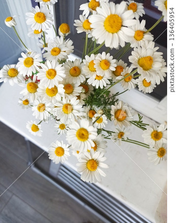 White daisy flowers with yellow centers arranged in a fresh bouquet on a windowsill in natural light. The image represents the concept of simplicity, purity, home comfort and gentle natural beauty White daisy flowers with yellow centers arranged in a fresh bouquet on a windowsill in natural light. The image represents the concept of simplicity, purity, home comfort and gentle natural beauty 136405954