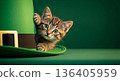 Cat peeking from behind green leprechaun hat, St. Patricks Day celebration concept. 136405959
