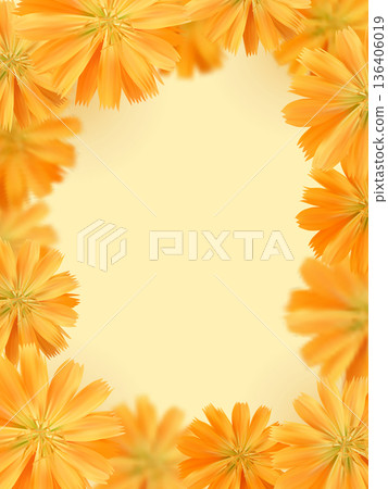 Orange Marigold Flower Frame Background 136406019