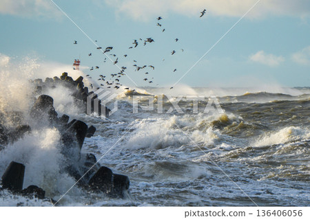 Stormy Baltic Sea Waves Crash Against Liepaja Harbor Breakwater with Seagulls Flying in Gale Winds 136406056